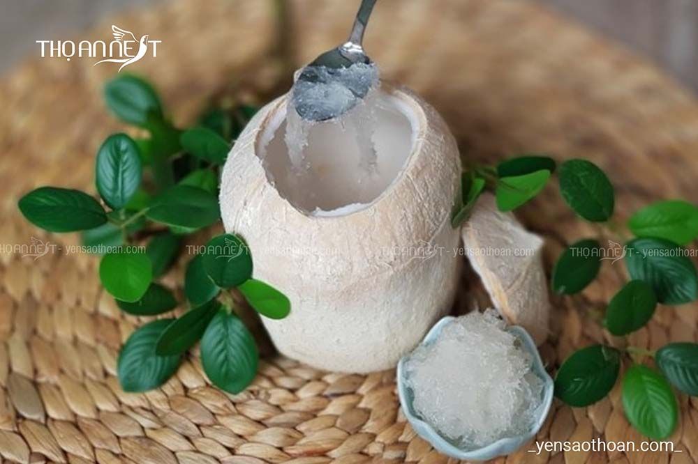 Cách làm yến chưng nước dừa tươi thơm ngon từ Thọ An Nest